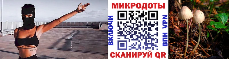 Галлюциногенные грибы прущие грибы mega tor Семикаракорск как найти наркотики